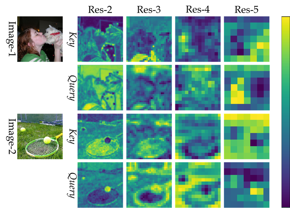 fig5_appearance